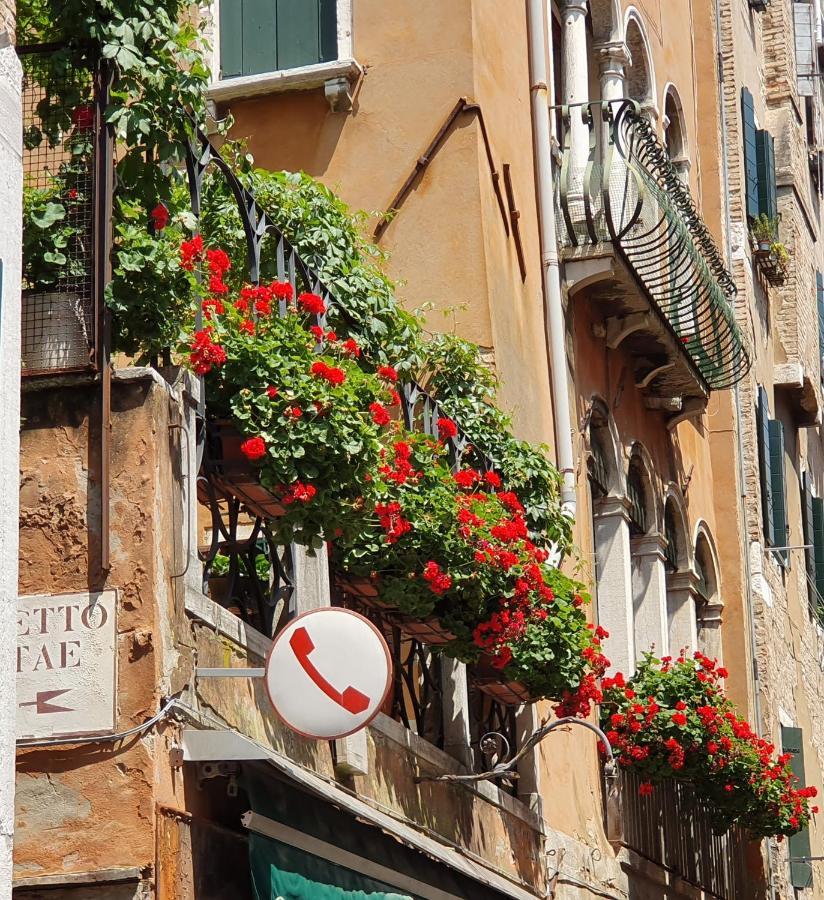 Beroni A Venezia