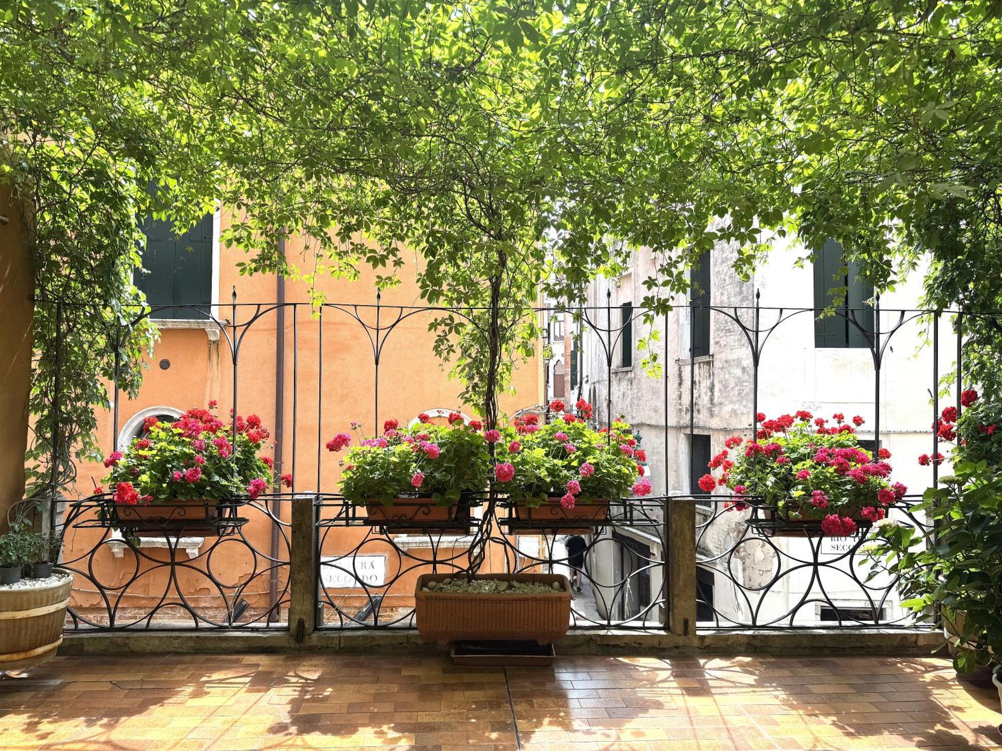 Beroni A * Venice